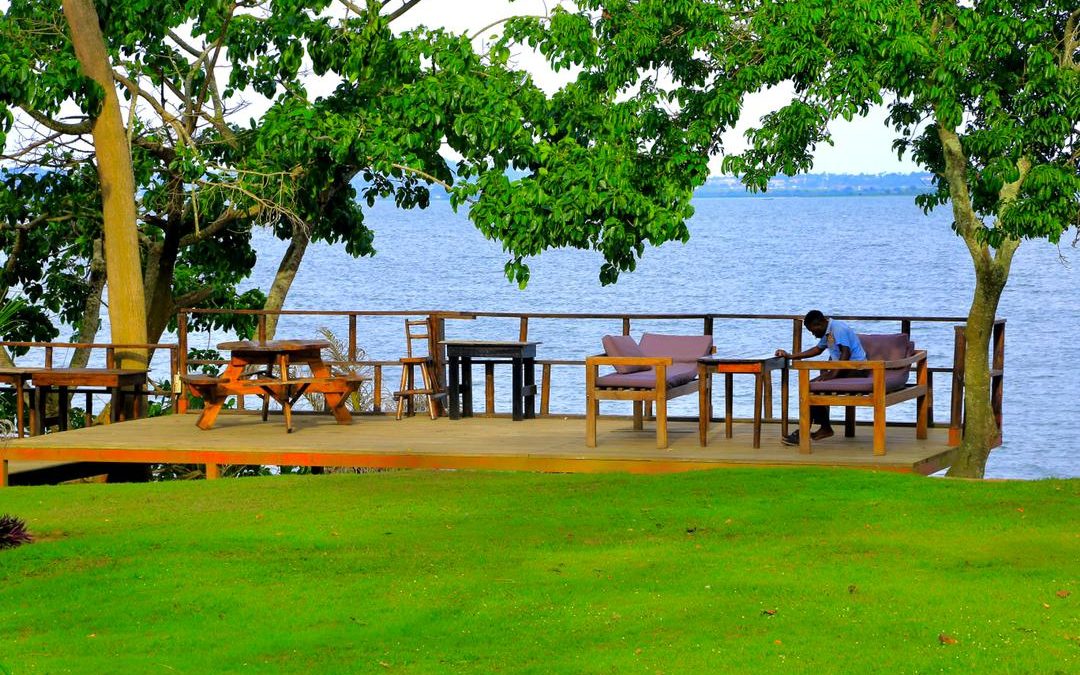 1 day park shoebill – Bussi Island tour